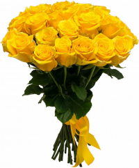 Розы Эквадор желтые