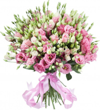 Розовая эустома