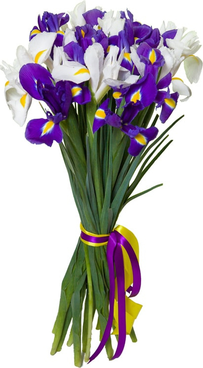 Ирисы микс №1